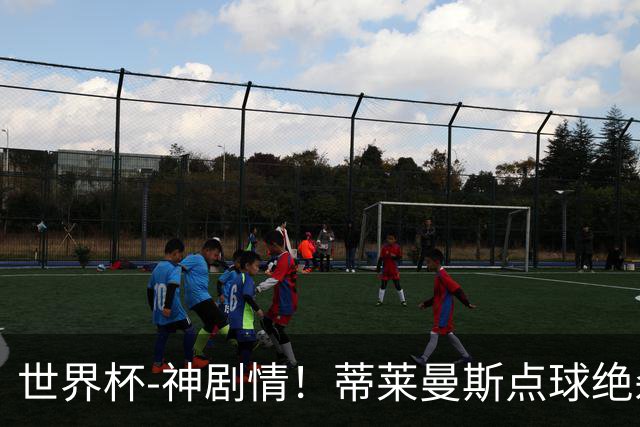 世界杯-神剧情！蒂莱曼斯点球绝杀 比利时加时3-2塞内加尔