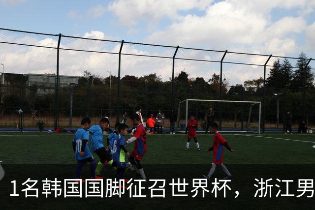 1名韩国国脚征召世界杯，浙江男足能够获得多少补偿？数字惊人